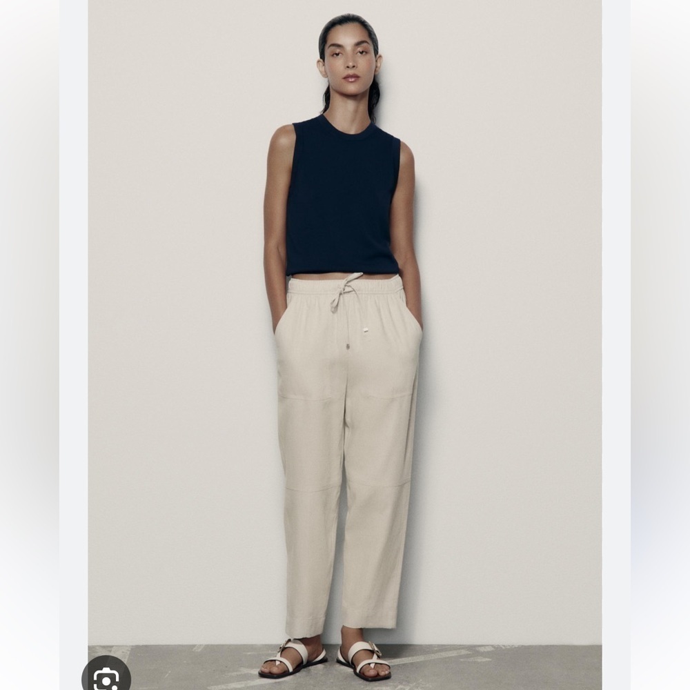 Zara Carrot light gray linen blend pants. Size S . Very good condition